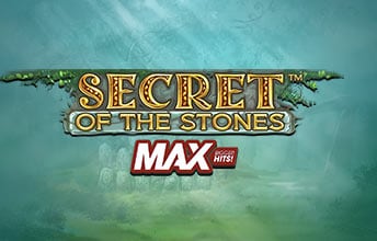 Secret of the Stones Max